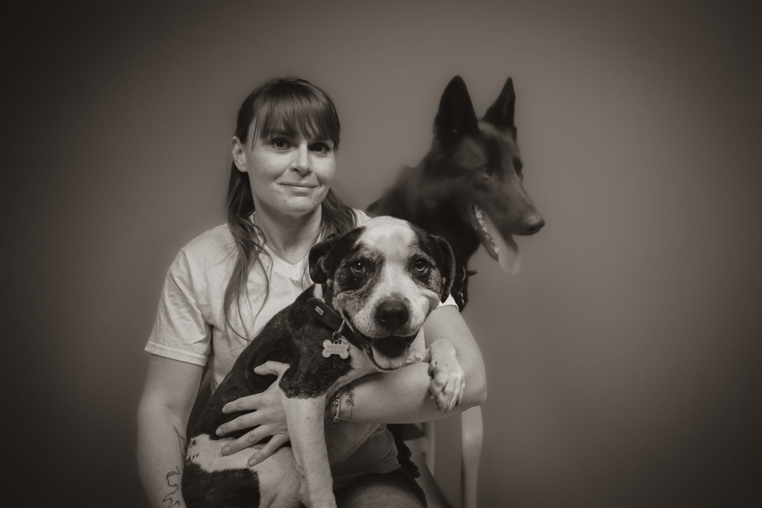 Clinique d’urgence vétérinaire AVIGNON 24h/24 | Maeva 